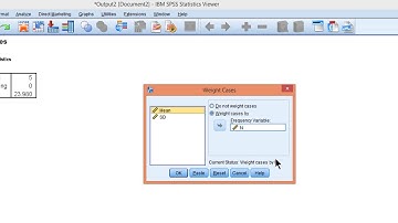 V2.25 - How to calculate an N-weighted mean (in SPSS)