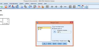 V2.25 - How to calculate an N-weighted mean (in SPSS)