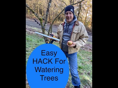 #05 Easy HACK for Watering Fruit Trees - Additions to Drip Tubes Made ...