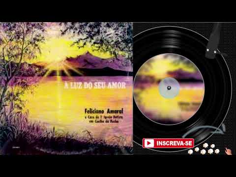 FELICIANO AMARAL ♫