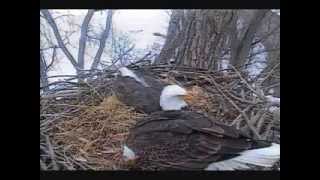 DECORAH EAGLES  3/15/2014   10:10 AM  CDT  DA COMES IN, MOVES BIG RAIL STICK