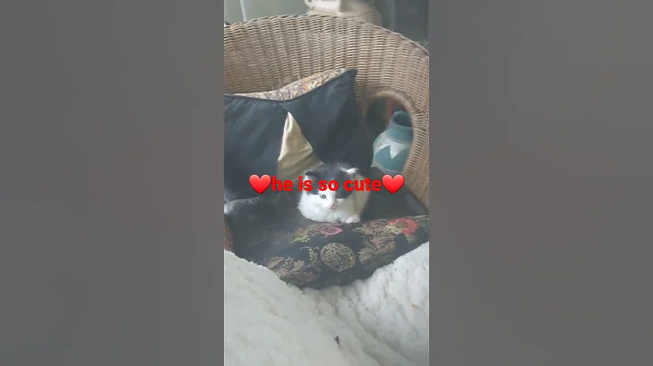 Cute plus cute