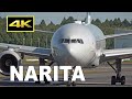 [4K] Landing and Close-up  - Plane Spotting at Tokyo Narita International Airport / 成田空港