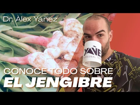 LEARN ALL ABOUT GINGER by DR. ALEX YANEZ