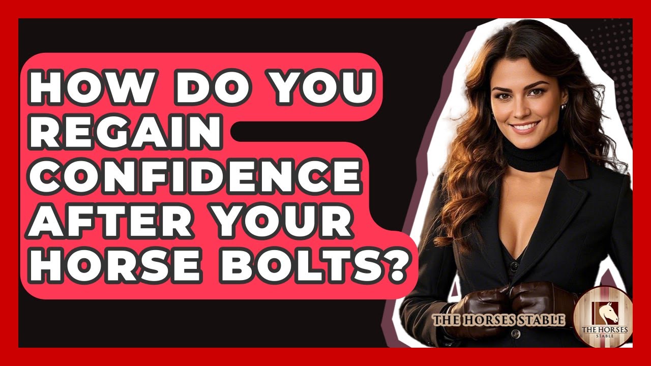 How Do You Regain Confidence After Your Horse Bolts? - The Horses Stable