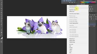 Applying Inner & Outer Glow to a Layer in Photoshop