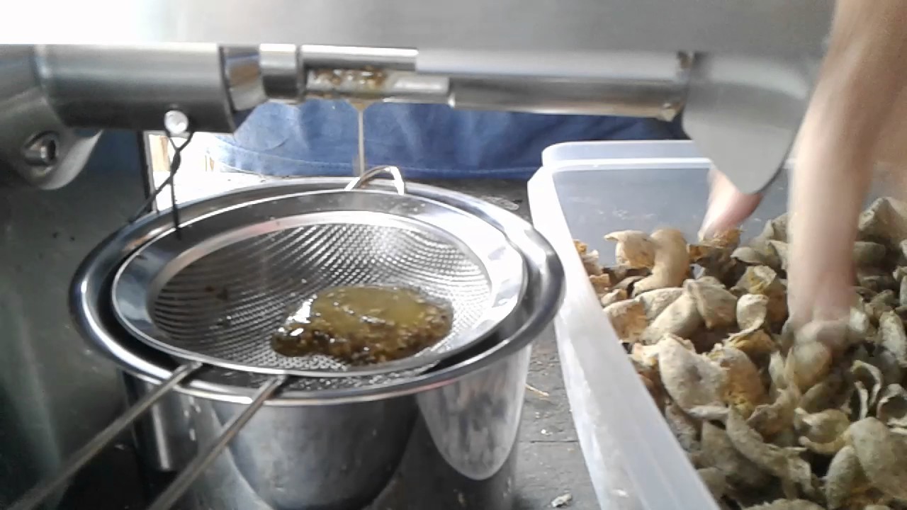 MAQUINA PARA EXTRACCION DE ACEITES DE SEMILLAS