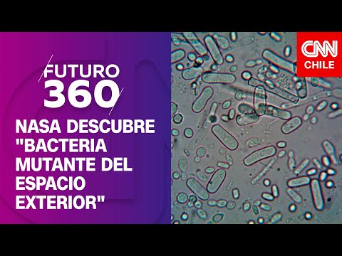 NASA descubre "bacteria mutante del espacio exterior" | Bloque científico de Futuro 360