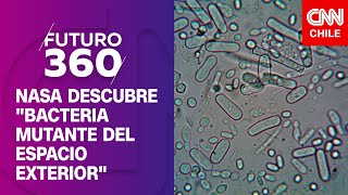 NASA descubre 'bacteria mutante del espacio exterior' | Bloque científico de Futuro 360