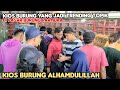 PASAR BURUNG PRAMUKA KIOS ALHAMDULILLAH BONGKAR KACER UDAH NGEPUR 220.RIBU