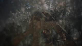 Sylvie Kreusch— Shangri-La 「Slowed down」