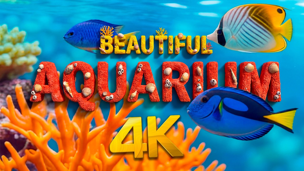 Аквариум 4K 🐠 Невероятные коралловые рифы и красивые рыбки | Релакс для сна и восстановления 🌊