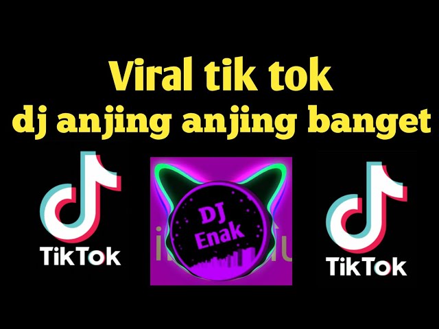 DJ ANJING ANJING BANGET REMIX FULL BASS | VIRAL TIK TOK class=