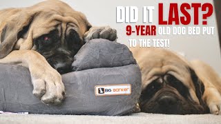 Do Big Barker Dog Beds Flatten? Putting Their 10-Year Warranty To the Test