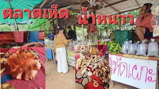 ตลาดเห็ดห้วยสนามทราย อ.น้ำหนาว🇹🇭