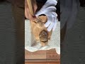 仏師が彫り出す恵比寿様 仕上げ #woodart #woodstatue #木彫