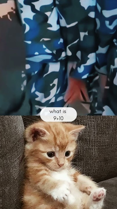 what-is-9-10-mrbombastic-vira-memes-shorts-youtube