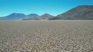 Salares