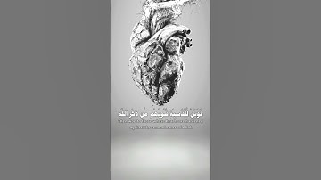فويل للقاسية قلوبهم من ذكر الله #ماهر_المعيقلي #سورة_الزمر