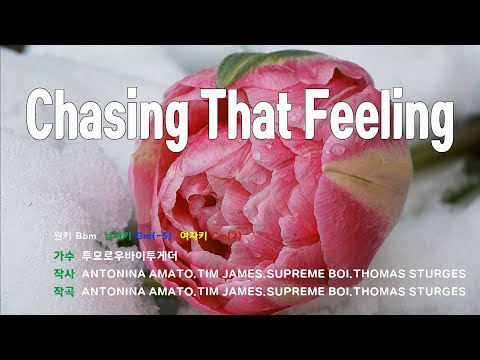 [은성 반주기] Chasing That Feeling - 투모로우바이투게더