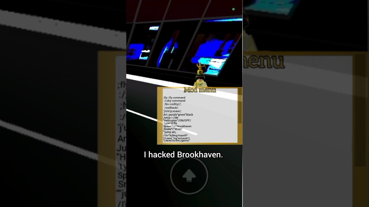 I hacked brookhaven 