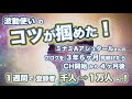 波動使いのコツが掴めた! ミナミAアシュタールさんのブログを3年6ヶ月見続けたら CH開始から4ヶ月後、1週間で登録者1,000人→1万人に!
