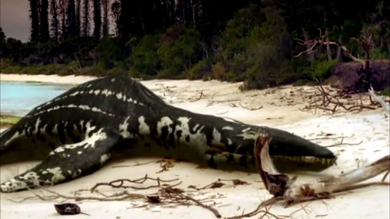 Best Epic Battles Eustreptospondylus Vs Liopleurodon (Round 2 - 1280x720 - jpeg Walking With Dinosaurs Eustreptospondylus