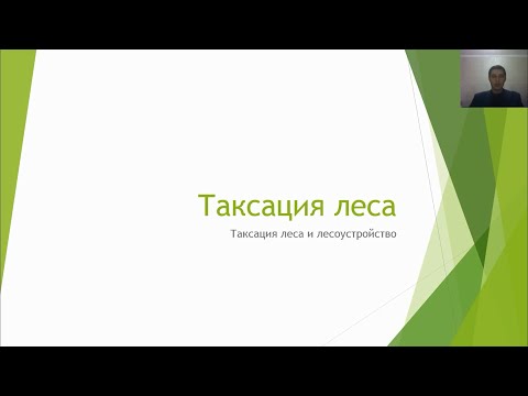 Таксация леса  2 2 3 курс Лесное дело