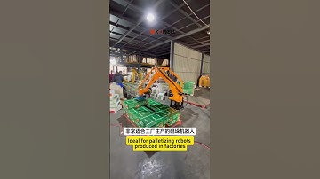 Ideal for palletizing robots produced in factories #industrialrobot #machine #factory