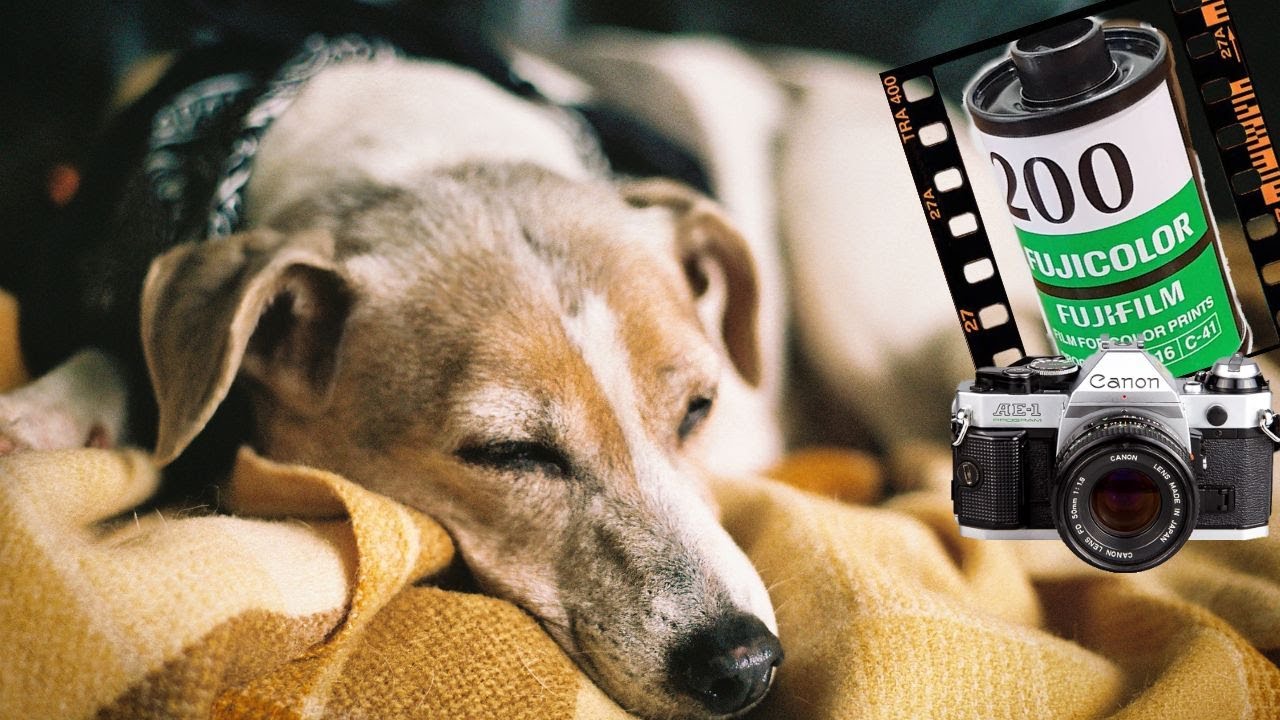 Expose Film correctly in camera because Lightroom won't save you. YouTube