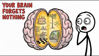 Scientists Discovered You Remember Everything You Think You Forgot