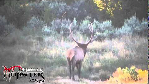 MossBack Monster Clips - Monster Bull Elk