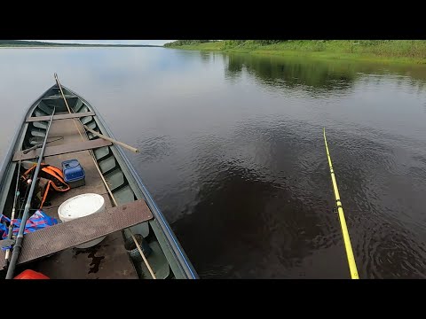 Spontaneous fishing \ Unexpected success, caught half a bucket of fish