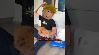 MOJE ŠTĚŇÁTKO je BINGO od YOUTUBERA?!  #shorts #roblox #brookhavenrp #jongles