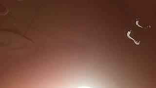 20190411 203638