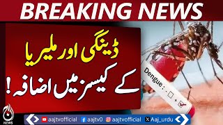 Dengue & Malaria Cases Surge in Jamshoro | Spray Campaign Intensified to Control Outbreak - Aaj News