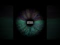Shiftdelete & Low Orbit Satellite - Inner Alien