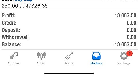 (DAY9)Flipping $1,000 to $1,000,000 Using High-Frequency Trading Bot (Live)