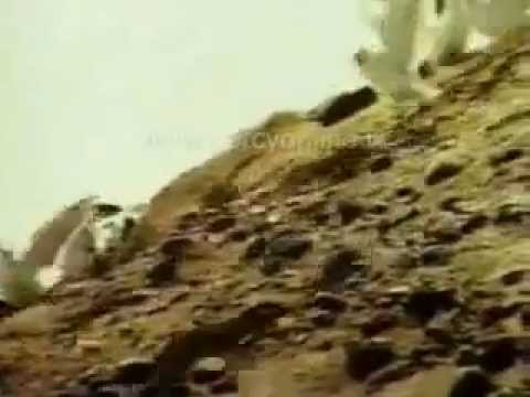 LAS AVENTURAS DE CHATRAN en 5 segundos