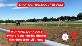 Saratoga 2022 - Understanding Morning Workouts with Jorge Abreu
