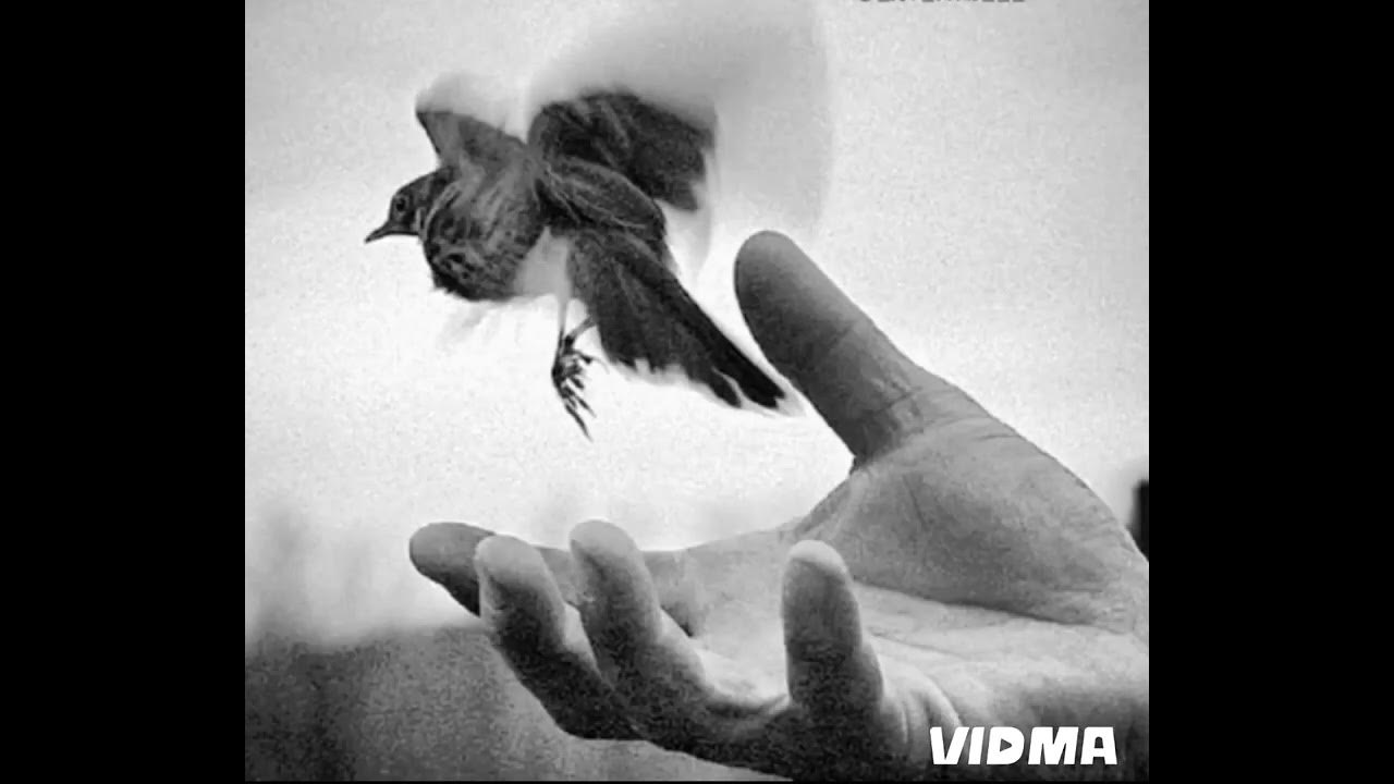 с тобою или без я дотянусь до небес ️🔥🔥🔥хит тик-ток #любовь #топ # ...