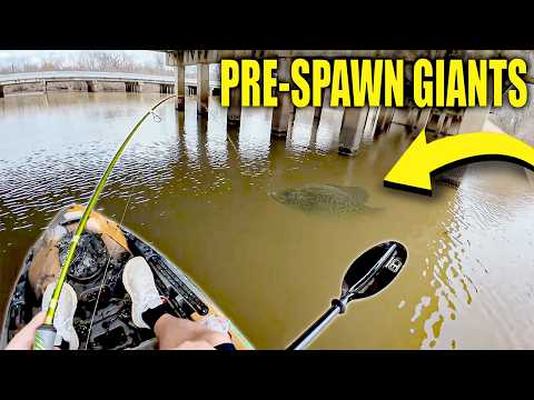 I FOUND GIANT PRE-SPAWN CRAPPIE | JIG & BOBBER!! CRAPPIE FISHING 2026!!