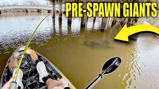 I FOUND GIANT PRE-SPAWN CRAPPIE | JIG & BOBBER!! CRAPPIE FISHING 2026!!