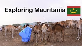 Exploring the Biggest Camel Market in the Sahara (NOUAKCHOTT, MAURITANIA 🇲🇷)