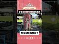 爭取百齡龍舟碼頭設備更新 別讓國際看笑話！#shorts