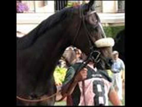 Video: Una Potranca Para Todas Las Edades: Rachel Alexandra Apuesta Por La Picardía Por Tormenta