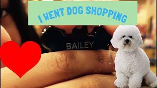 I Went Dog Shopping For My New Puppy| bichon shopping at petsmart
