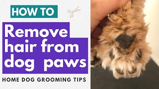 How To Remove Hair From Dog Paws  Two Ways | Home Dog Grooming Tips