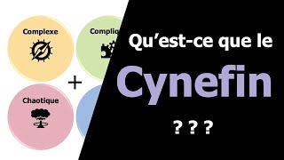 Sadapter À Son Contexte Le Cynefin
