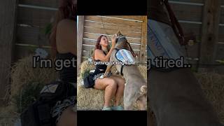 Download Lagu exhausted honestly.. #servicedog #pots #medical MP3